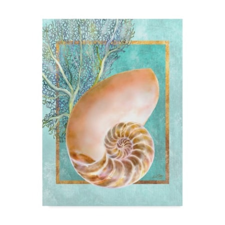 Lori Schory 'Nautilus Shell And Coral' Canvas Art,18x24